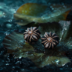 Nature meets High-Tech: Alessandro Langella Unveils Water-Lily-Inspired Jewels at TEFAF Maastricht
